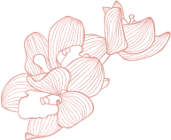 Flower 1 | Bare Elegance Aesthetics Med Spa In San Diego